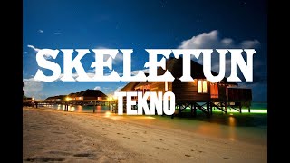 Tekno skeletun lyrics [upl. by Debera]