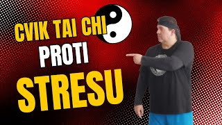 Tai chi proti stresu 1 minuta pro zklidnění Zkroťte stres se cvikem tai chi pro začátečníky [upl. by Lizabeth412]