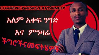 What is Currency Risk  ምንዛሬ ጋር በተያያዘ ምን አይነት ችግሮች አሉ ምንዛሬ ዶላር ethiopia chilot currency [upl. by Schwarz]