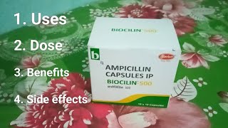 Ampicillin 500 Capsule l Ampicillin Capsules l Antibiotics use Dose Benefits amp Side effects Hindi [upl. by Enelez]