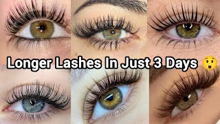 How To Grow Eyebrows Eyelashes Faster amp Thicker  Eyebrow Gel  All Natural by Suman [upl. by Eelidnarb]