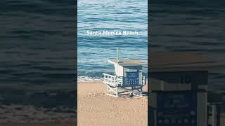 View Santa Monica Beachveteransday santamonicabeach bird [upl. by Ettenil502]