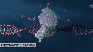 How to synthesize complex custom long oligonucleotides [upl. by Nnaaras]