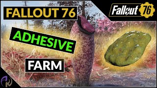 Fallout 76 Adhesive Farm  Digested Goo Routes [upl. by Anigriv109]