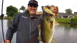 Big Swimbaits when where and why [upl. by Brinn]