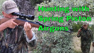 Five Reasons to Hunt with Spring Piston Airguns [upl. by Hisbe]