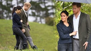 Duchess of Wellingtons Meghan and Harry arrive in Auckland for a tour of native bushland [upl. by Onitsoga275]