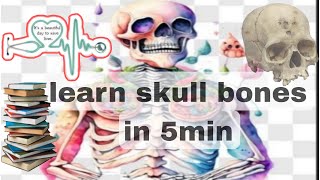 Human Head Anatomy skull anatomy learnersworld kannada bones easylearning [upl. by Sirronal]