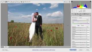 Using the Tools in Adobe Camera RAW [upl. by Aliehc]