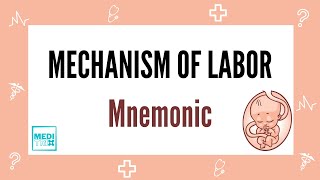 Mechanism of Labor  Delivery  Mnemonic  Obstetrics  Medi Trix [upl. by Dorrej558]