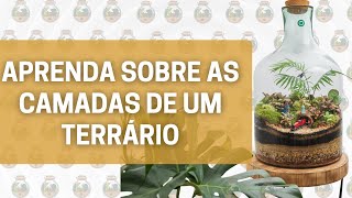 APRENDA SOBRE AS CAMADAS DE UM TERRÁRIO [upl. by Effy]