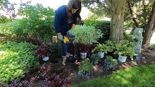 Planting in My Parent’s Garden 🥰🌿 Garden Answer [upl. by Ecenaj]