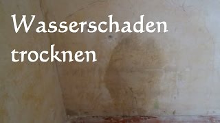 Wasserschaden in Wand und Decke trocknen Wasserschaden im Haus Feuchtigkeit raus bekommen [upl. by Huberman20]