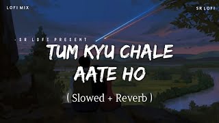 Tum Kyu Chale Aate Ho  Lofi Mix Slowed  Reverb  Vicky Singh  SR Lofi [upl. by Desdamona]