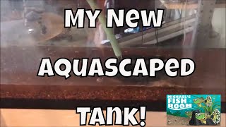 New Aquascaped Tank How to Clean Seachem Flourite Aquarium Fishroom VLOG [upl. by Hnao]