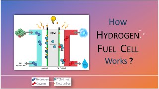 How hydrogen fuel cell works  Fuel Cell Technology  Working principle [upl. by Tenn]