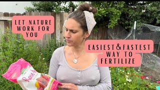 Easiest way to fertilize your garden gardening flowerfarm zone9 planting farmergirl [upl. by Mcspadden920]