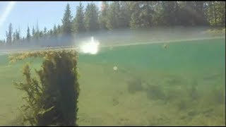 Fishing Hells Canyon FT Imnaha River [upl. by Ellenrahs889]