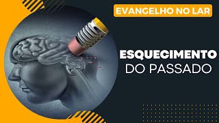 Evangelho no Lar Esquecimento do passado Capítulo 05 item 11 89 [upl. by Elata]