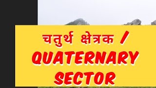 Quaternary Sector  Economics [upl. by Aihsekat101]