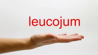 How to Pronounce leucojum  American English [upl. by Eirelam886]