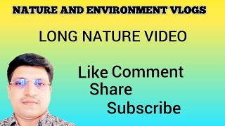 LONG NATURE VIDEO [upl. by Hamnet]