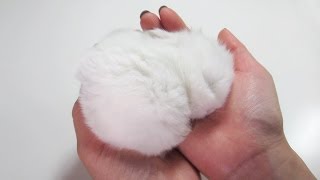 Fluffy Bunny Furball Sleeping in my Hand [upl. by Waldman437]