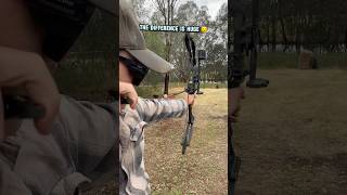 Chinese vs compound bow  whats more accurate Bow Archery [upl. by Enylrac414]