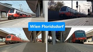 Züge Wien Floridsdorf ● 03 11 2024 [upl. by Latoya577]