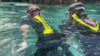 Discovery Cove 2023 08 19 14 25 17 [upl. by Asilehc]