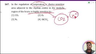 In the regulation of respiration a chemosensitive area adjacent to the rhythm centre in the [upl. by Giesser]