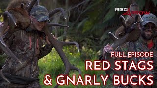 Best Hunts In Red Arrow History I FULL EPISODE I Red Arrow [upl. by Downe640]