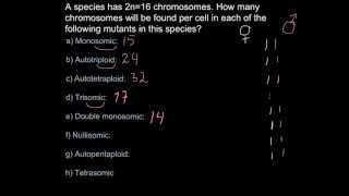 Chromosome number and ploidy mutations [upl. by Emmerich527]