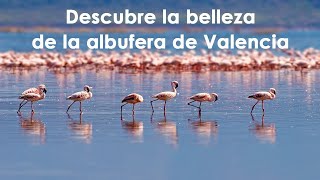 UN VIAJE AL CORAZON DE LA ALBUFERA DE VALENCIA [upl. by Ilatfan628]