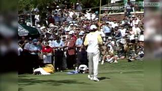 Top 10 Winning Putts on the PGA TOUR [upl. by Sclater]