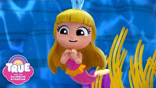 Mermaid Princess 🧜‍♀️ Friendship Day amp More Grizelda FULL Episodes 🌈 True and the Rainbow Kingdom [upl. by Ellingston]