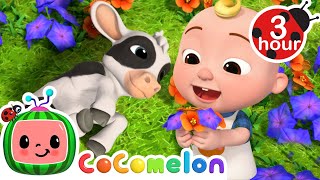 JJ Plays With His Baby Farm Animals 🐮 CoComelon Nursery Rhymes amp Kids Songs  3 HOURS  After School [upl. by Notle]