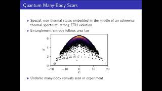 Abhinav Prem Integrability Thermalization and Quantum Scars in a Constrained Hamiltonian [upl. by Garcon]