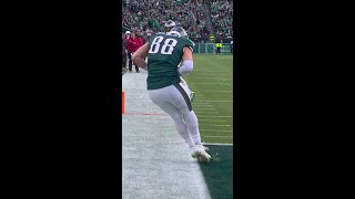 Dallas Goedert catches for a 9yard Touchdown vs Arizona Cardinals [upl. by Ylrehc866]