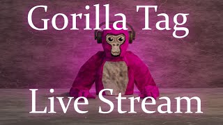 gorilla tag with viewers [upl. by Dirrej739]