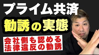 【プライム共済】後編‼️会社も認める⁉️誰も教えてくれない真実‼️ [upl. by Aihsekin]