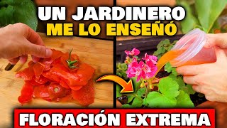 NUNCA TIRES ESTO El MÁS POTENTE ABONO CASERO para PLANTAS y FLORES  Jardín y Huerta urbana [upl. by Llenaj]