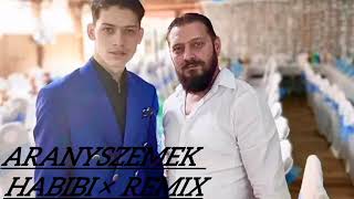 AranyszemekHABIBI × Remix [upl. by Yssirc]