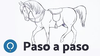 Cómo dibujar un Caballo paso a paso  Aprende a dibujar [upl. by Aimaj]