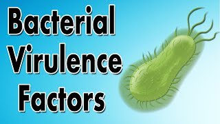 Bacterial Virulence Factors [upl. by Malloch]