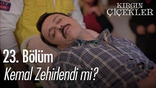 Kemal zehirlendi mi  Kırgın Çiçekler 23 Bölüm [upl. by Graybill478]