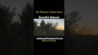 The historic McGovney Yunker Farm in Mokena at Sunset history [upl. by Gnoht30]