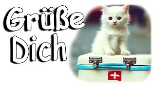 Ich denk an Dich Schönen Tag grüße für gruß grußvideo freude [upl. by Nywnorb115]