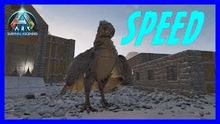 Ascended Ark  Argy Speed [upl. by Kcirderfla404]