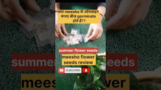 online seeds review meesho flower seeds review youtubeshorts garden [upl. by Reginald]